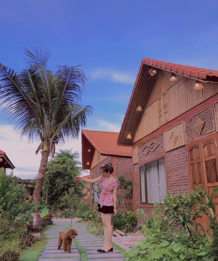 Trang An Lighthouse Homestay Ninh Binh Luaran gambar